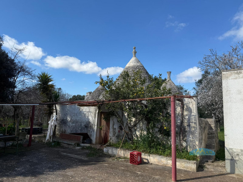 immagine annuncio 4 di 10