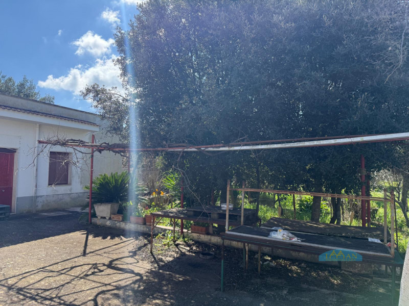 immagine annuncio 3 di 10