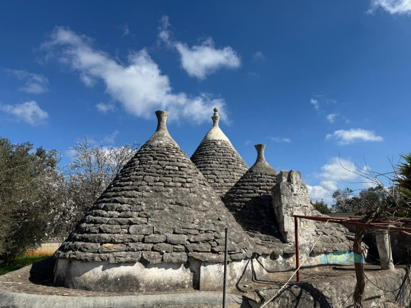 immagine annuncio 6 di 10