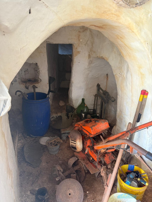 immagine annuncio 3 di 10