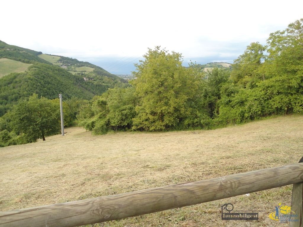 immagine annuncio 5 di 8
