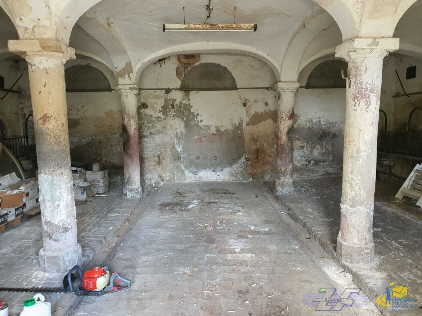 immagine annuncio 3 di 10