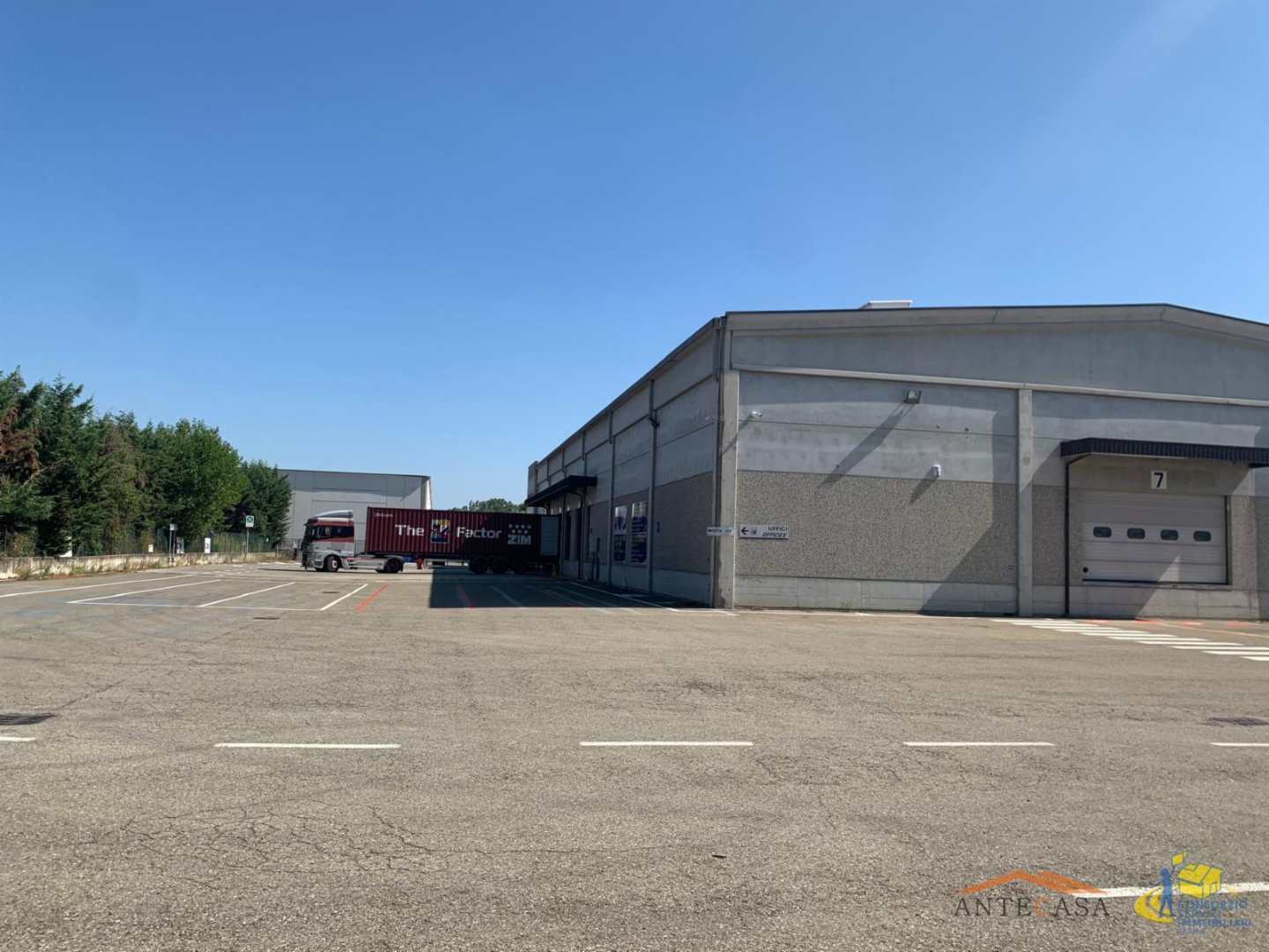 immagine annuncio 9 di 10