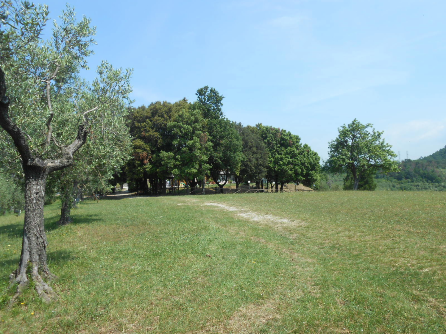 immagine annuncio 6 di 10