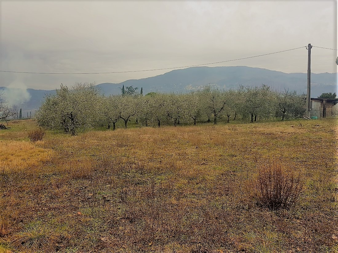 immagine annuncio 2 di 6