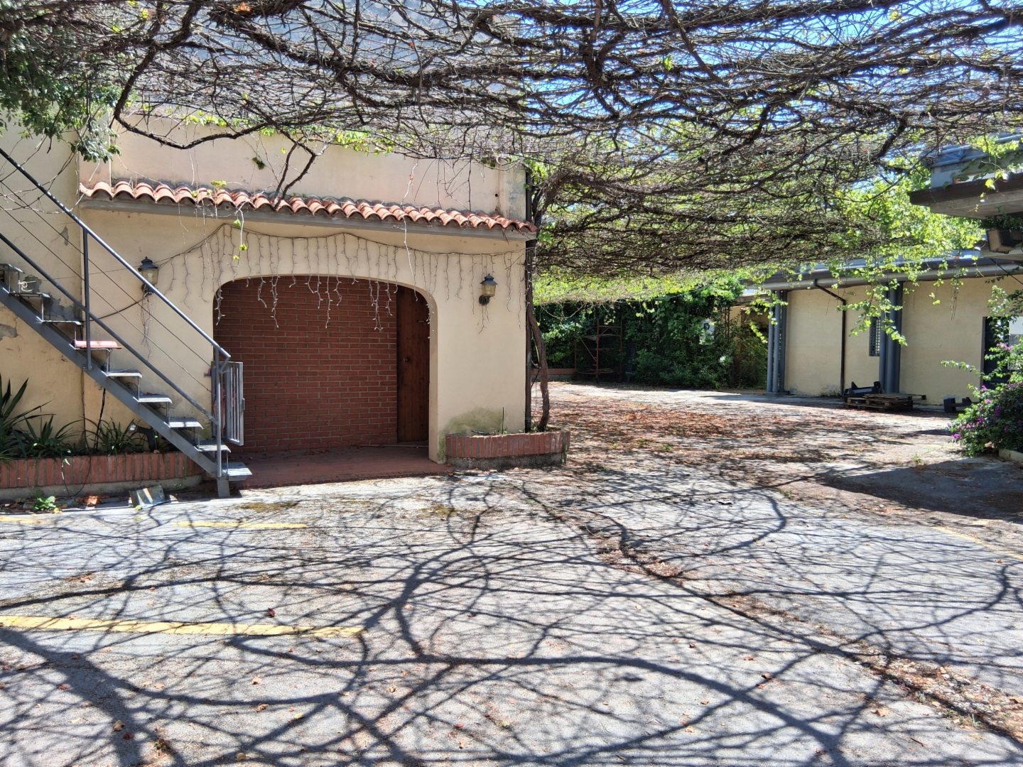 immagine annuncio 7 di 8