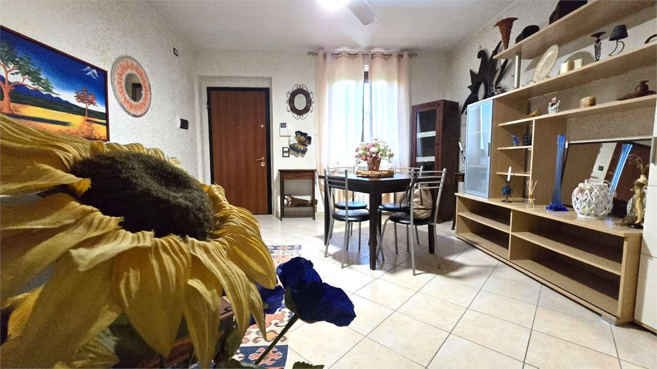 immagine annuncio 1 di 10