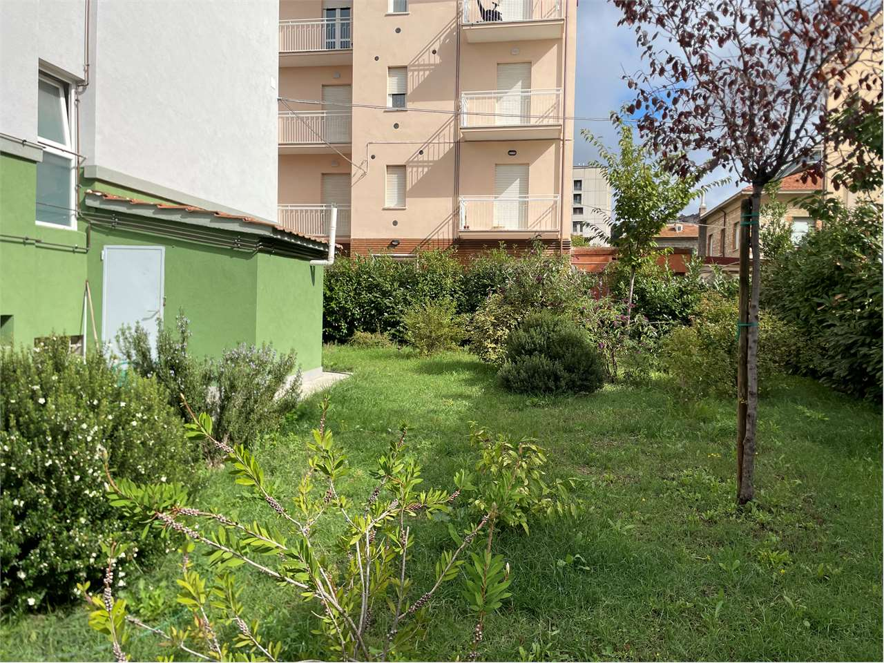 immagine annuncio 7 di 10
