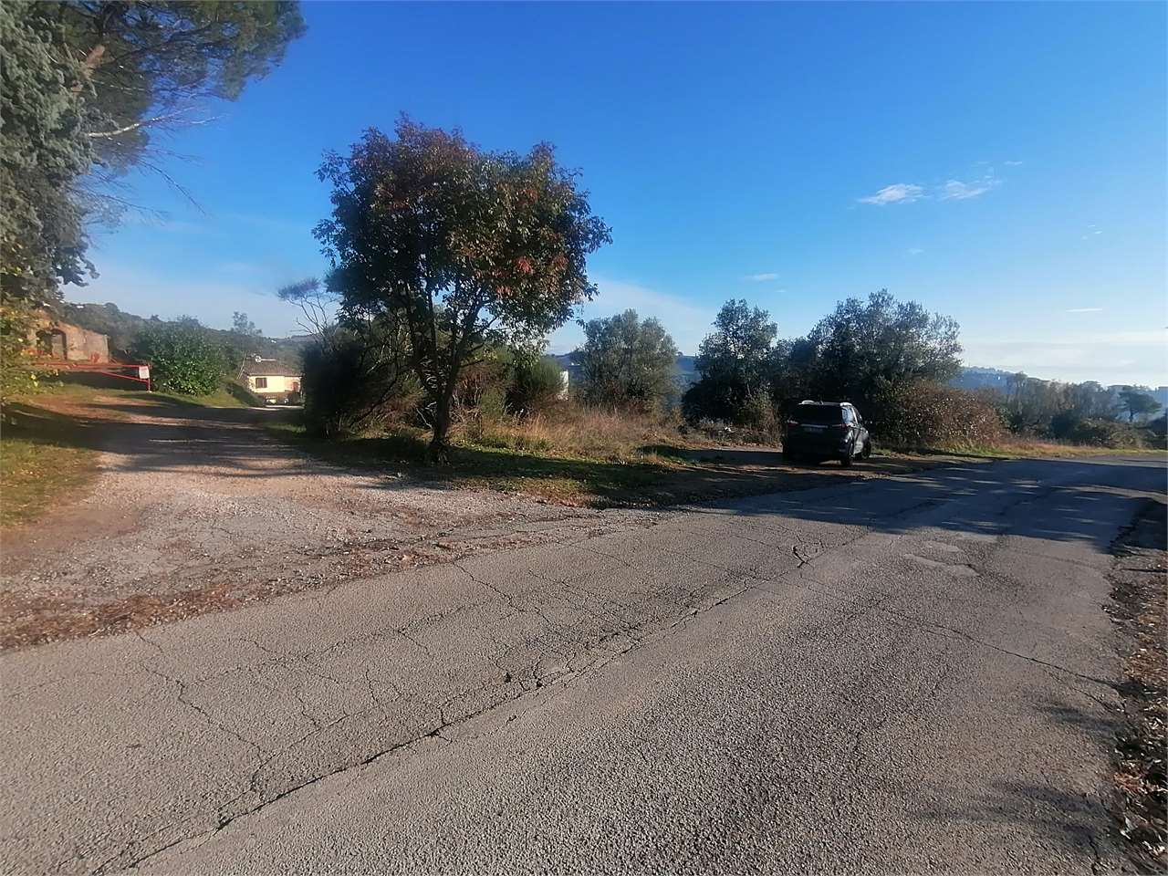immagine annuncio 6 di 8