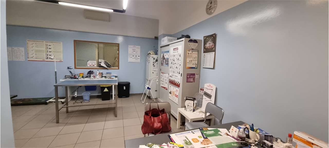immagine annuncio 2 di 10
