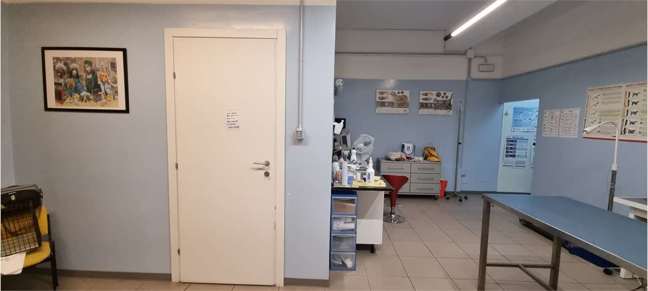 immagine annuncio 5 di 10