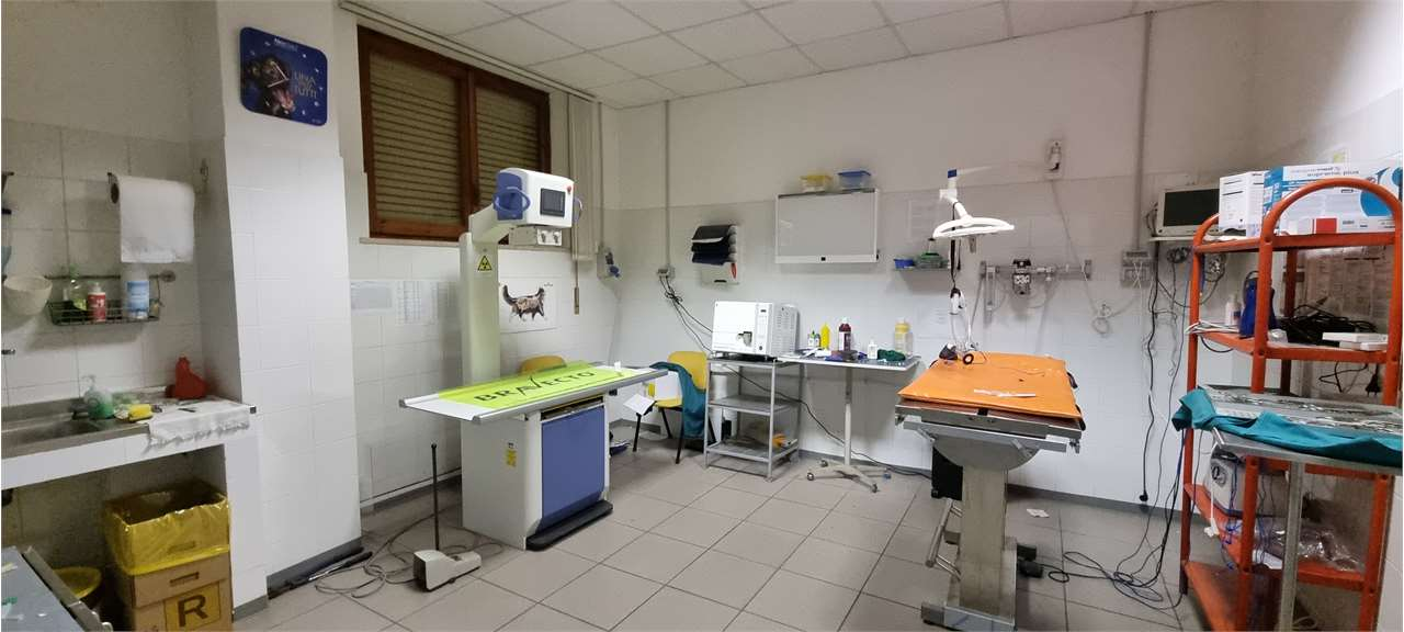 immagine annuncio 8 di 10