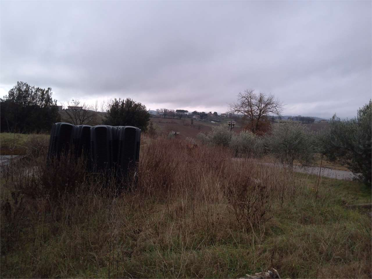 immagine annuncio 7 di 9