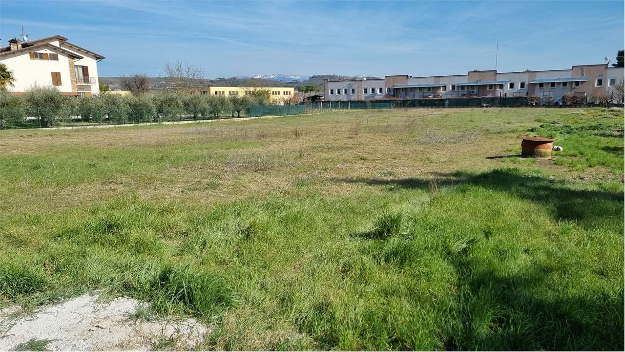 immagine annuncio 2 di 4