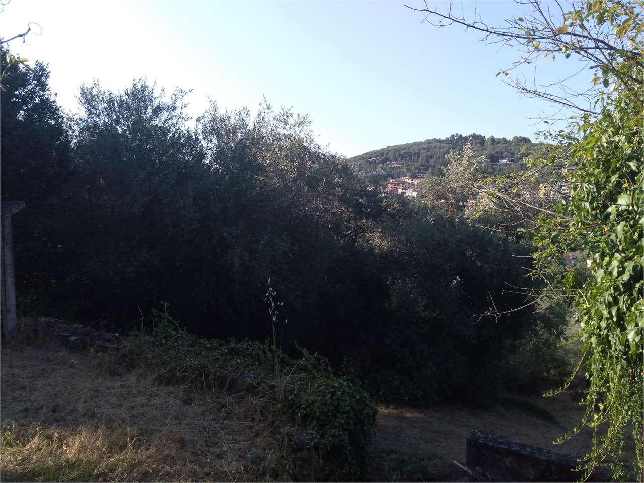 immagine annuncio 1 di 8