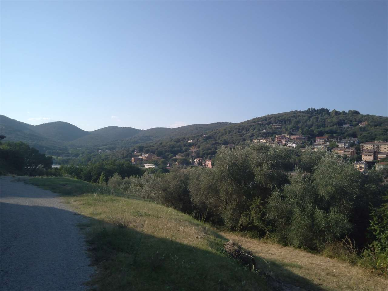 immagine annuncio 3 di 8