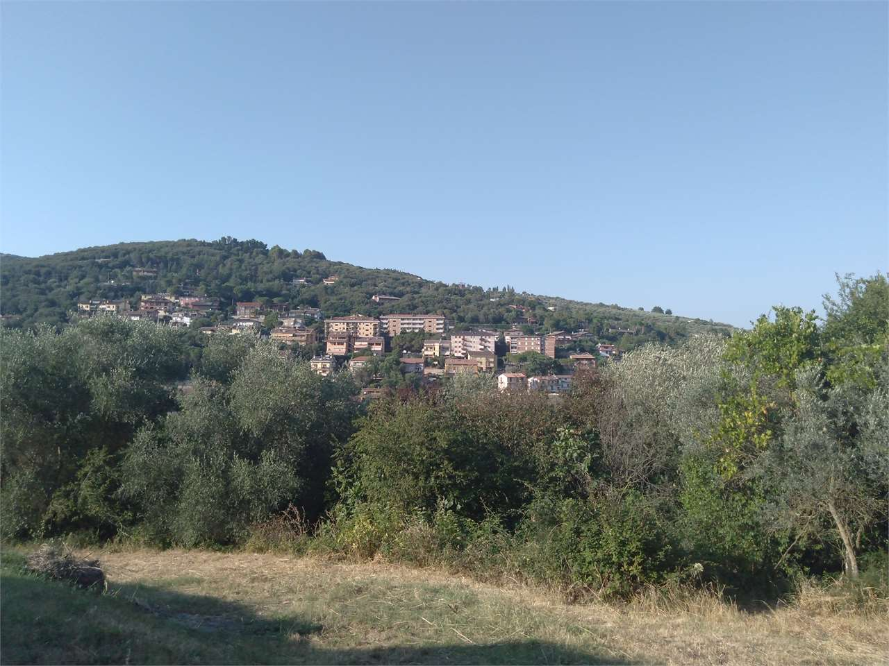immagine annuncio 5 di 8
