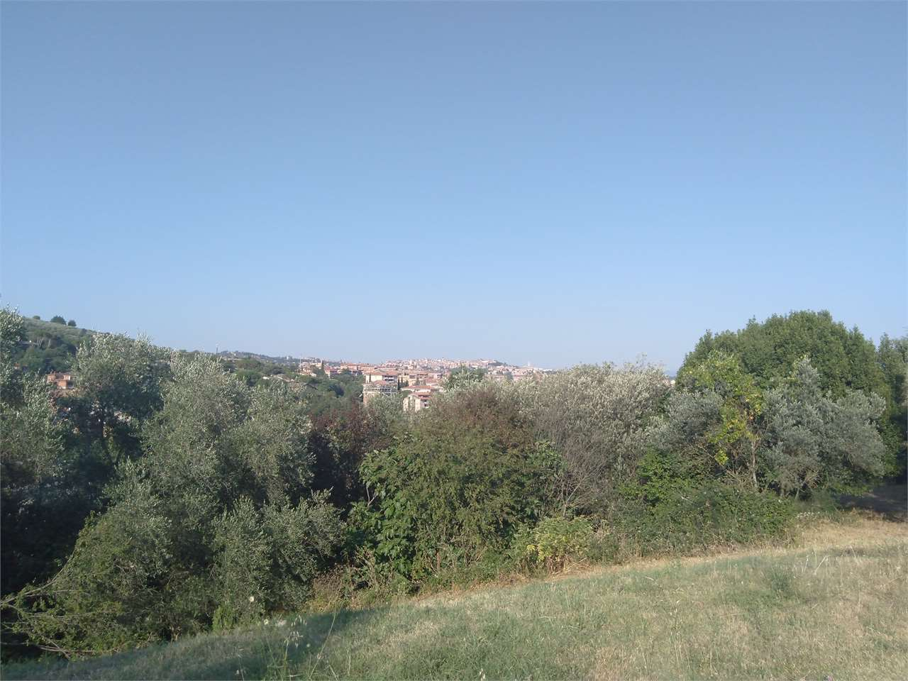 immagine annuncio 4 di 8