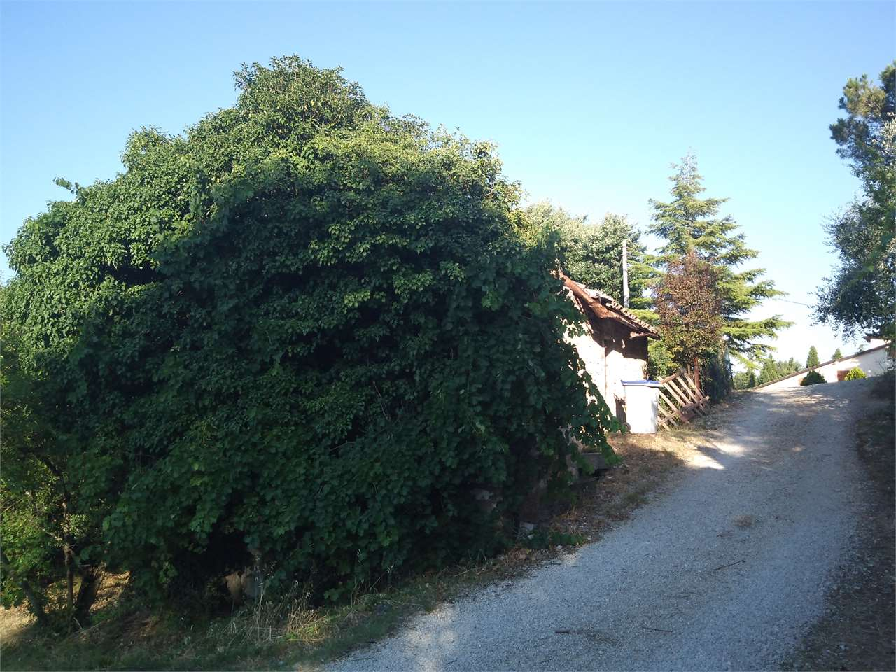 immagine annuncio 6 di 8