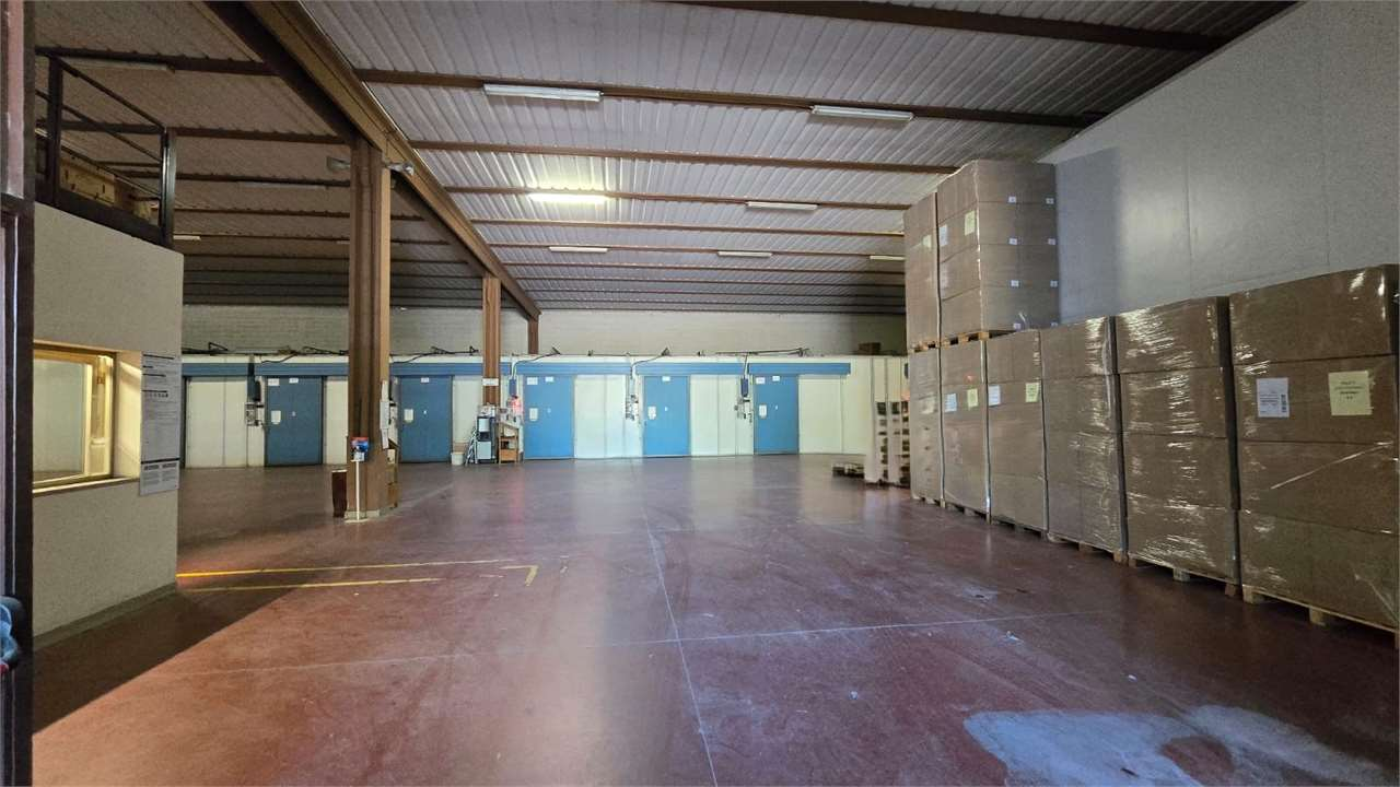 immagine annuncio 4 di 10