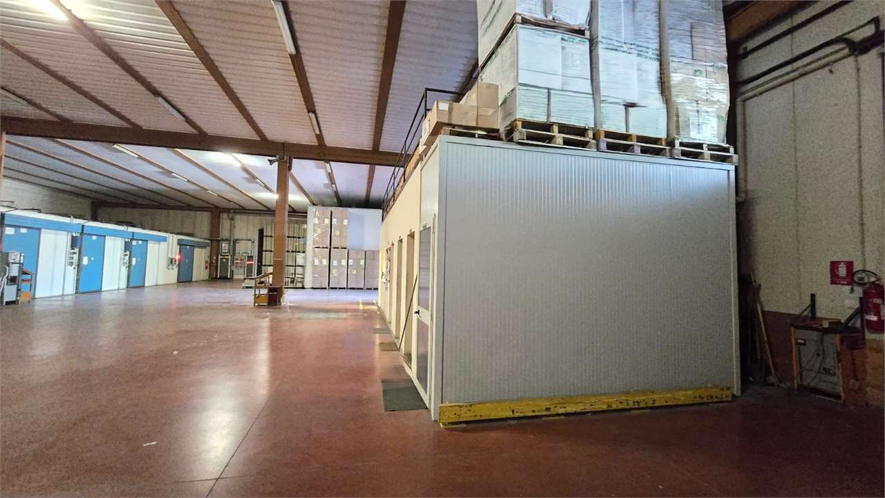 immagine annuncio 5 di 10
