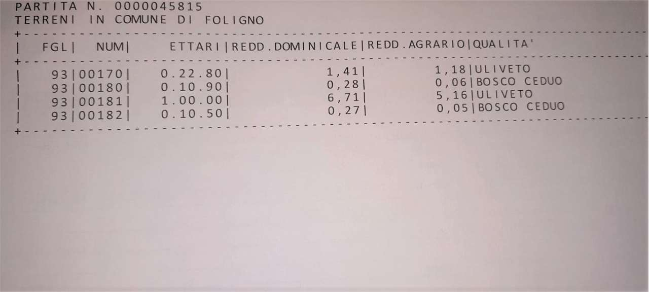 immagine annuncio 1 di 4