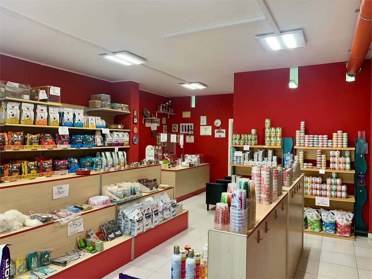 immagine annuncio 6 di 10