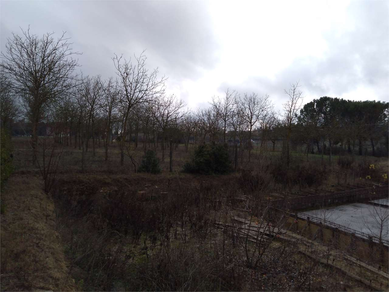 immagine annuncio 3 di 9