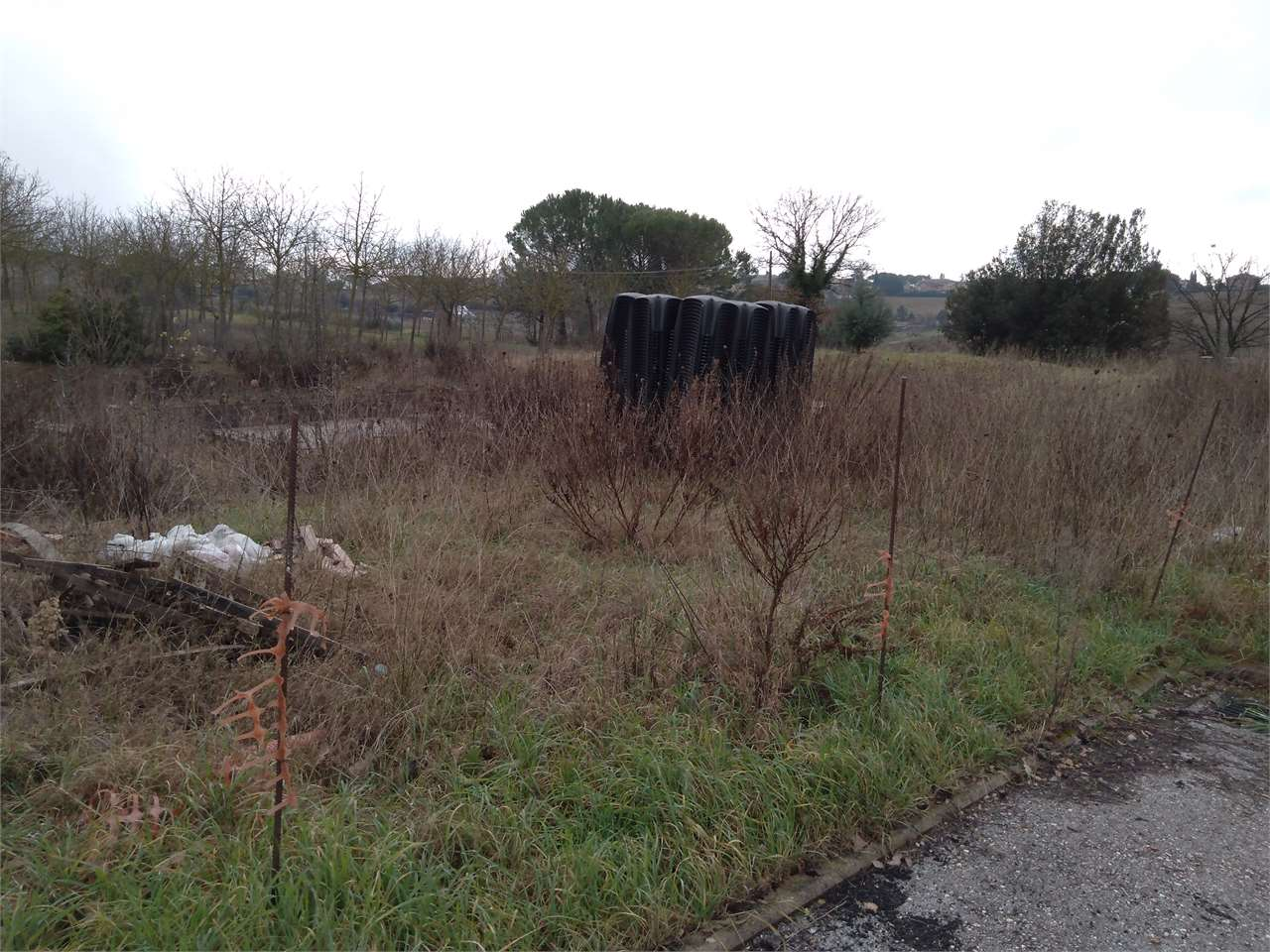 immagine annuncio 8 di 9