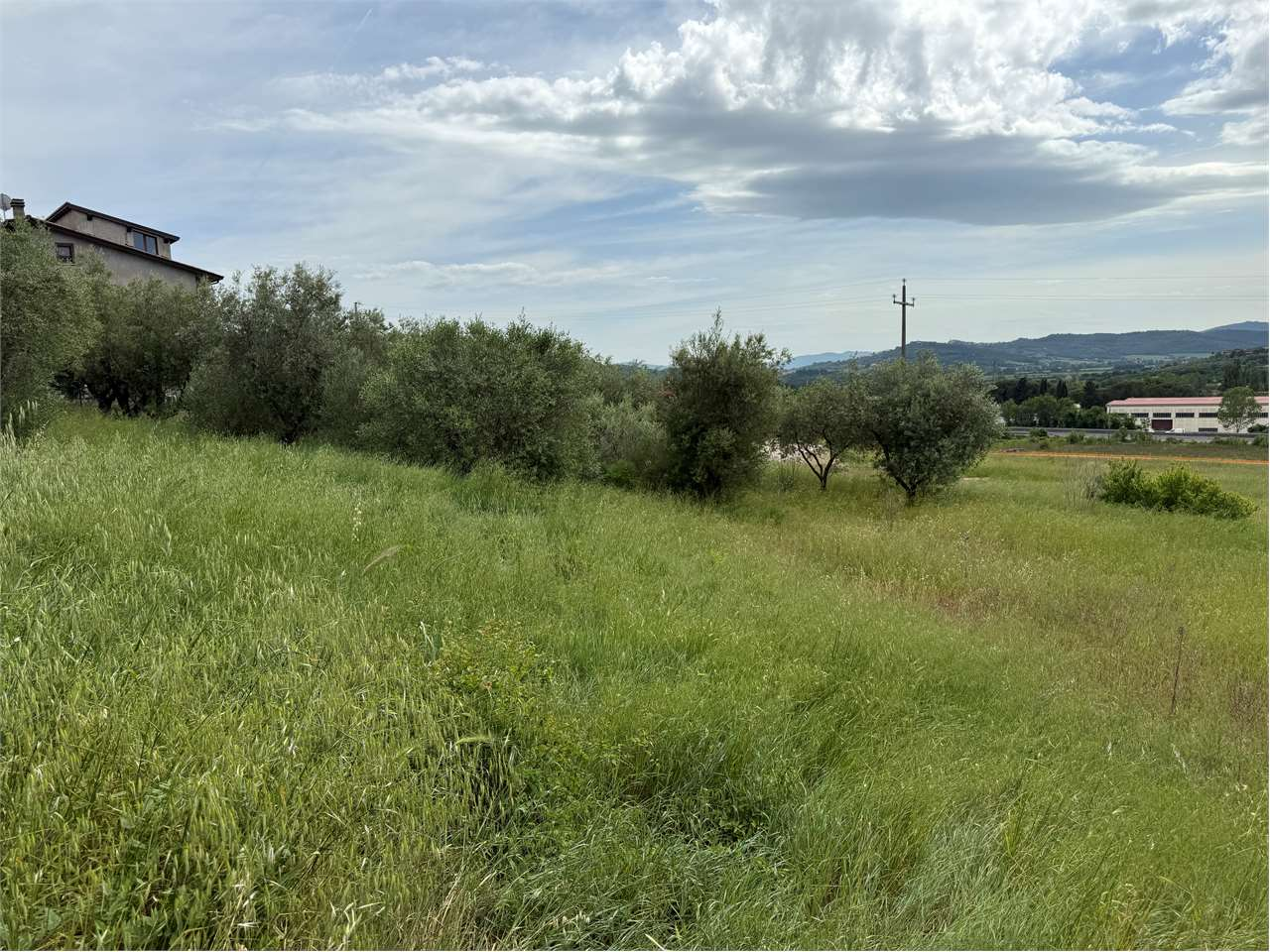 immagine annuncio 1 di 3