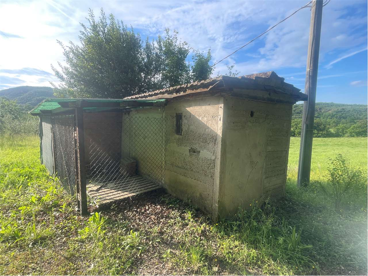 immagine annuncio 1 di 10