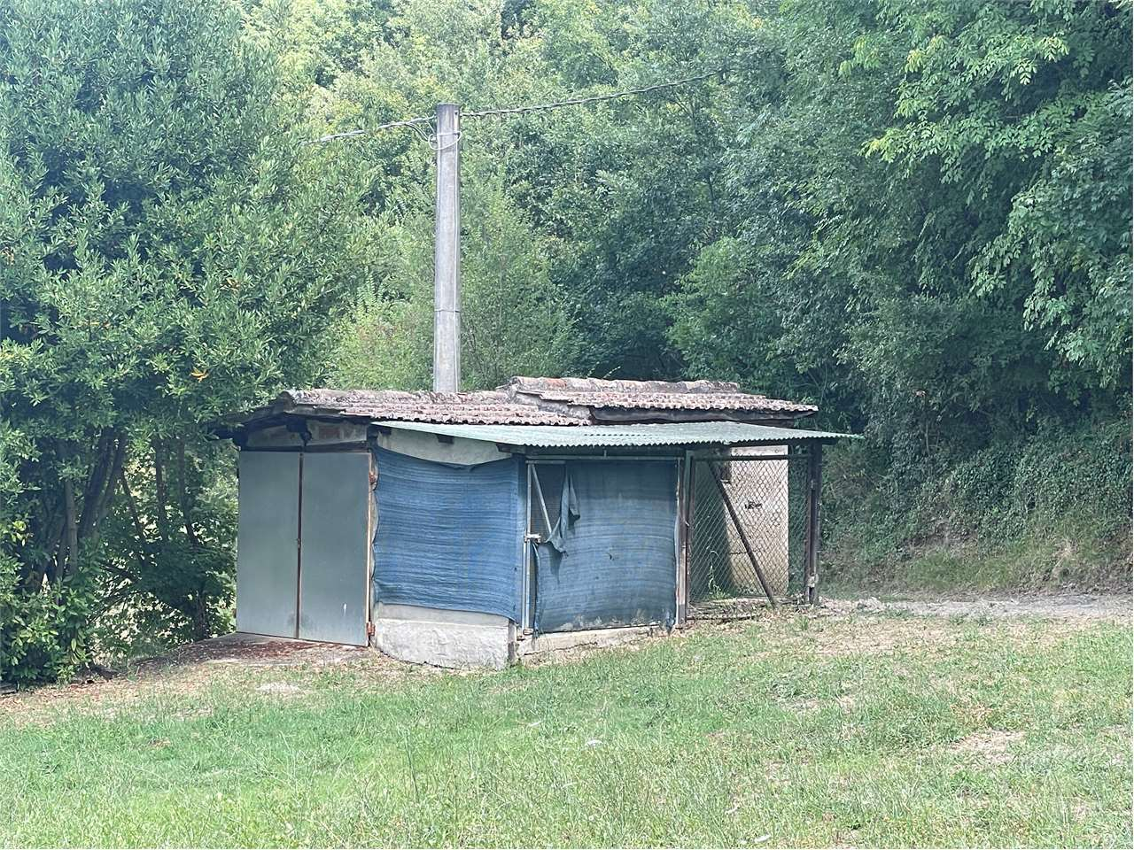 immagine annuncio 7 di 10