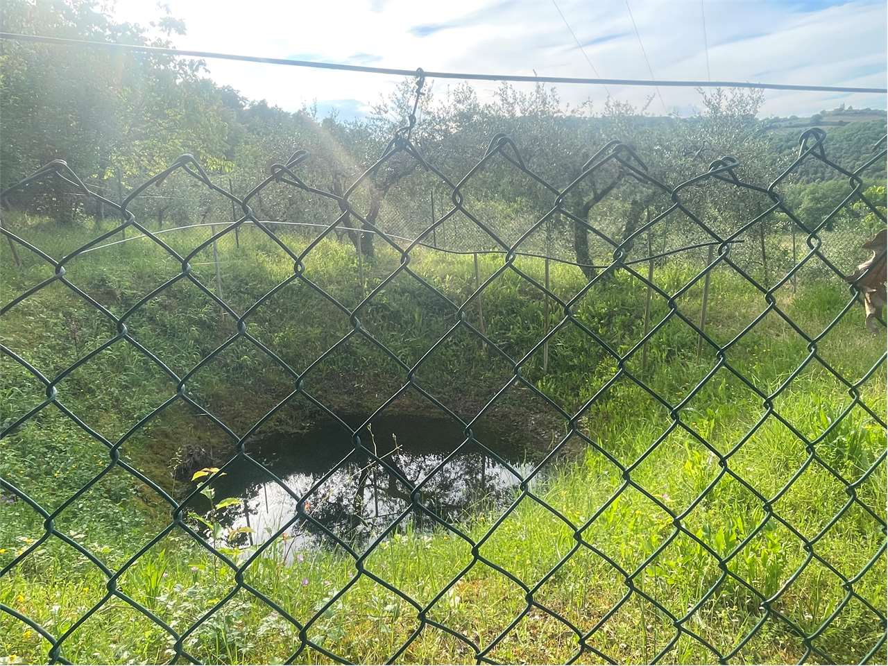 immagine annuncio 8 di 10