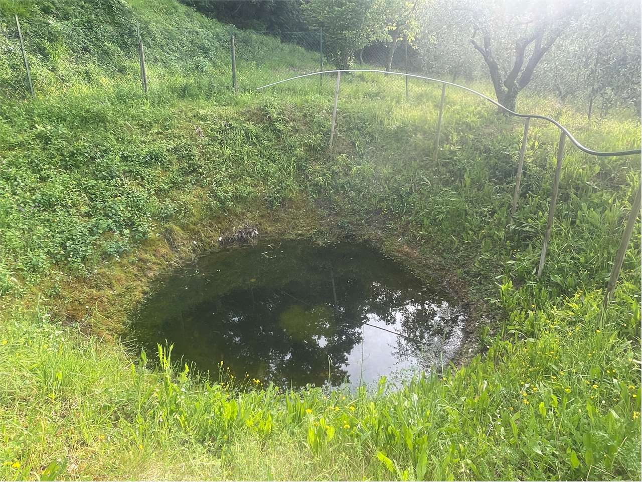 immagine annuncio 9 di 10