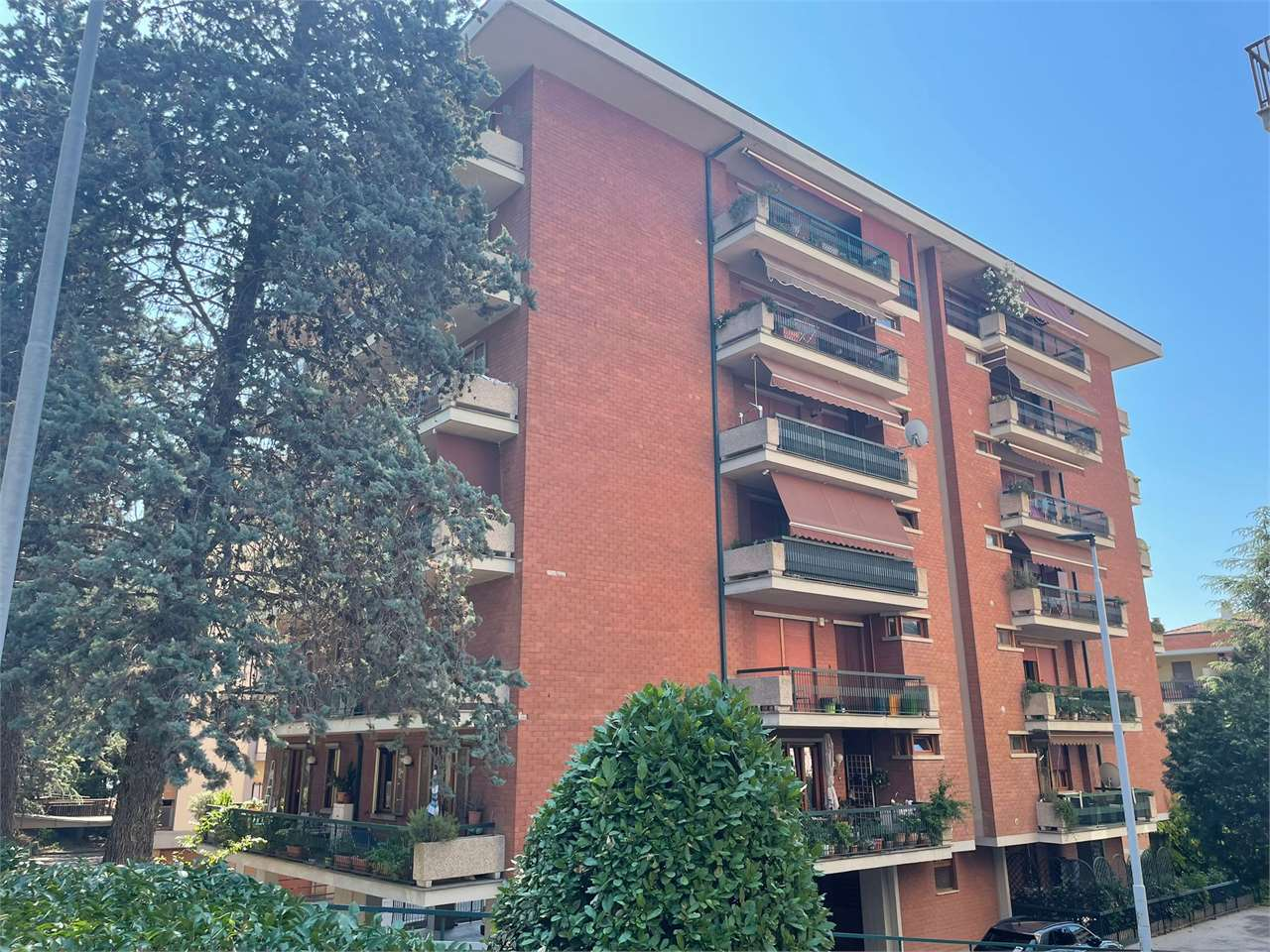 immagine annuncio 3 di 10