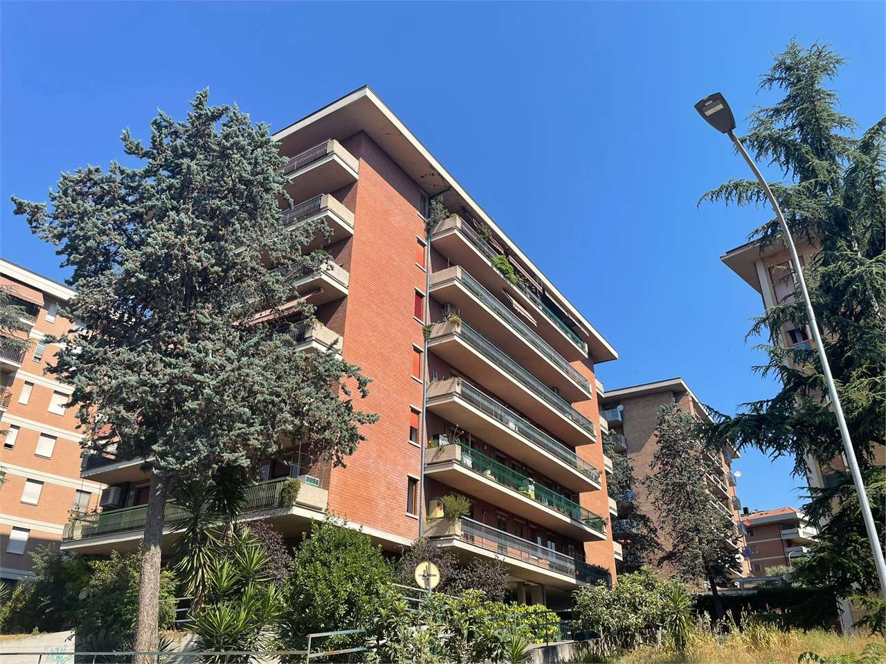 immagine annuncio 6 di 10