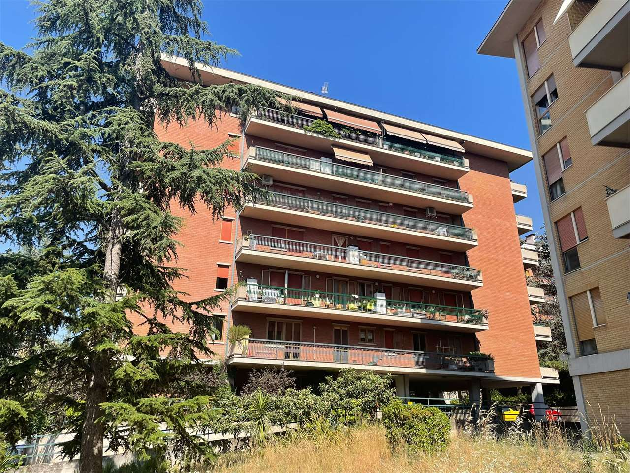 immagine annuncio 7 di 10