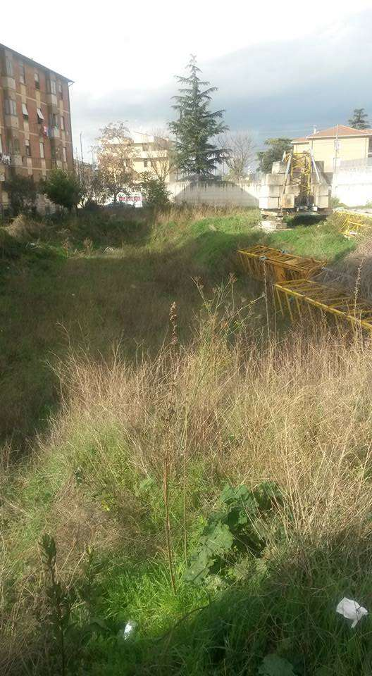 immagine annuncio 1 di 2