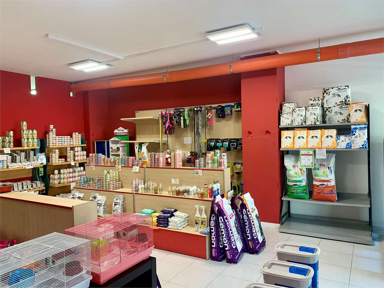 immagine annuncio 7 di 10