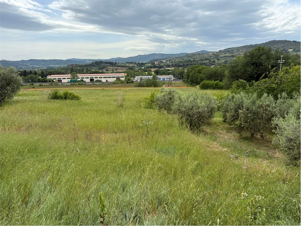 immagine annuncio 1 di 3