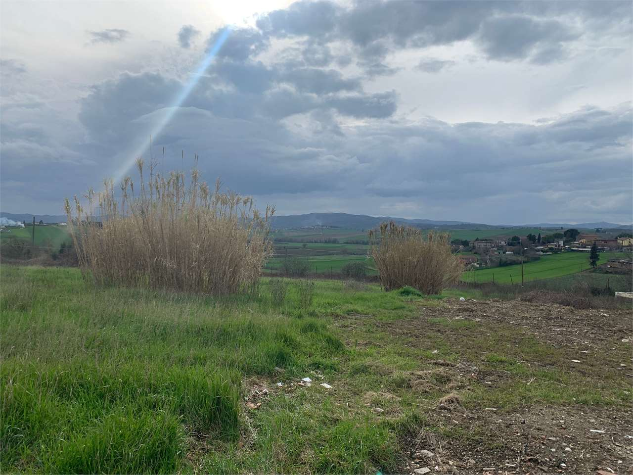 immagine annuncio 3 di 4