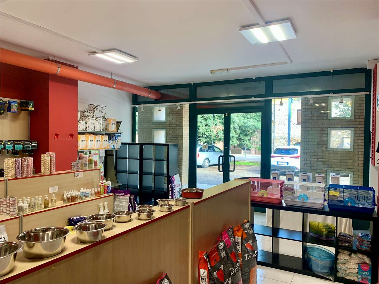 immagine annuncio 9 di 10