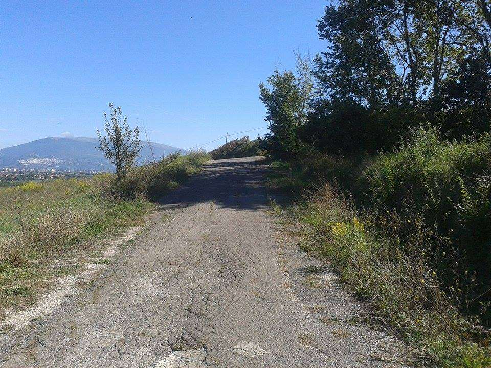 immagine annuncio 3 di 4