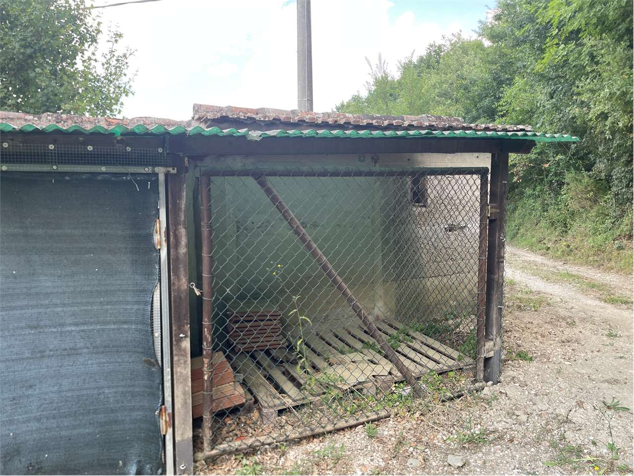 immagine annuncio 1 di 10