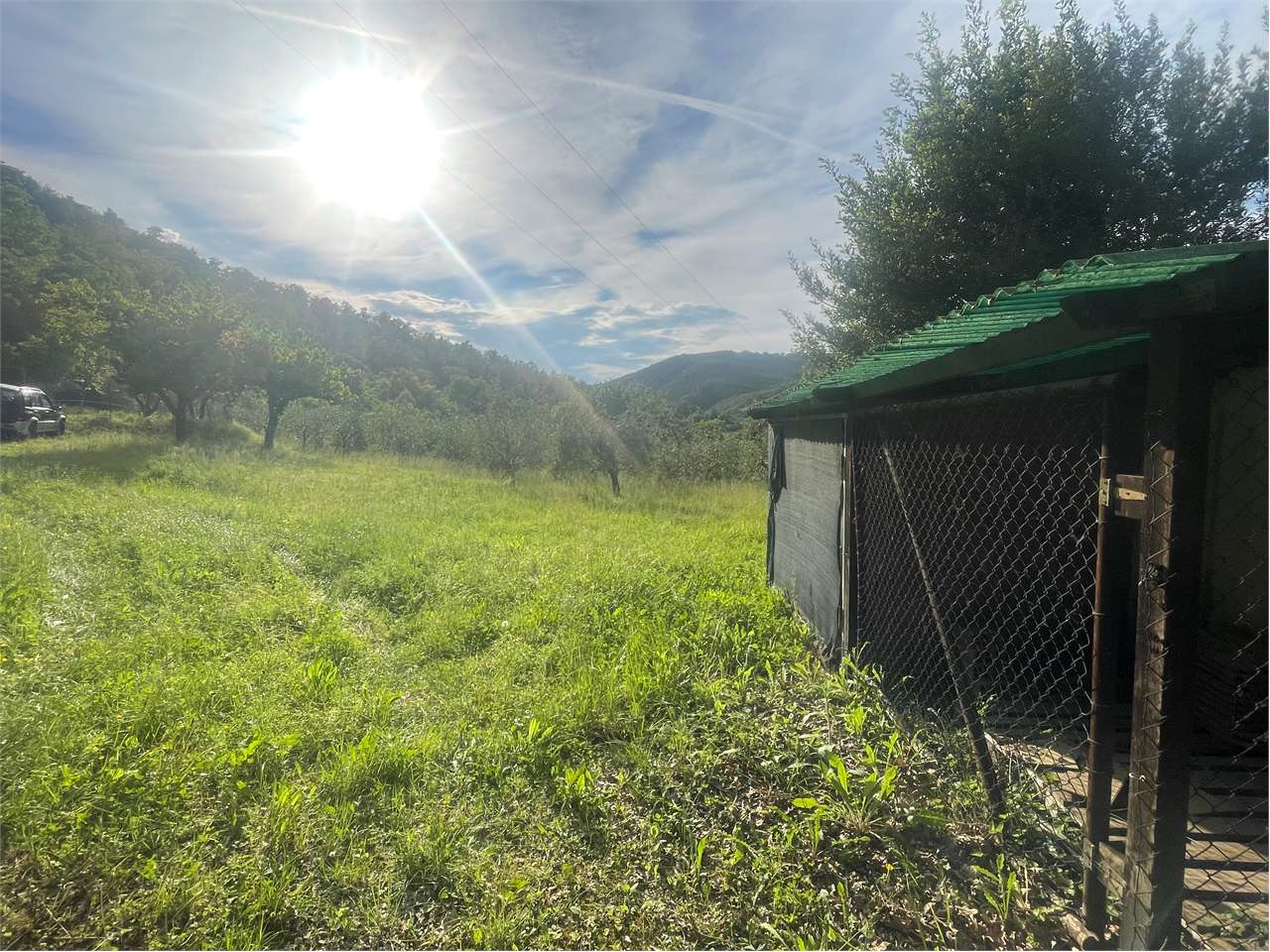 immagine annuncio 2 di 10