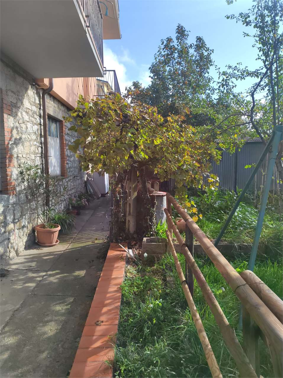 immagine annuncio 7 di 10