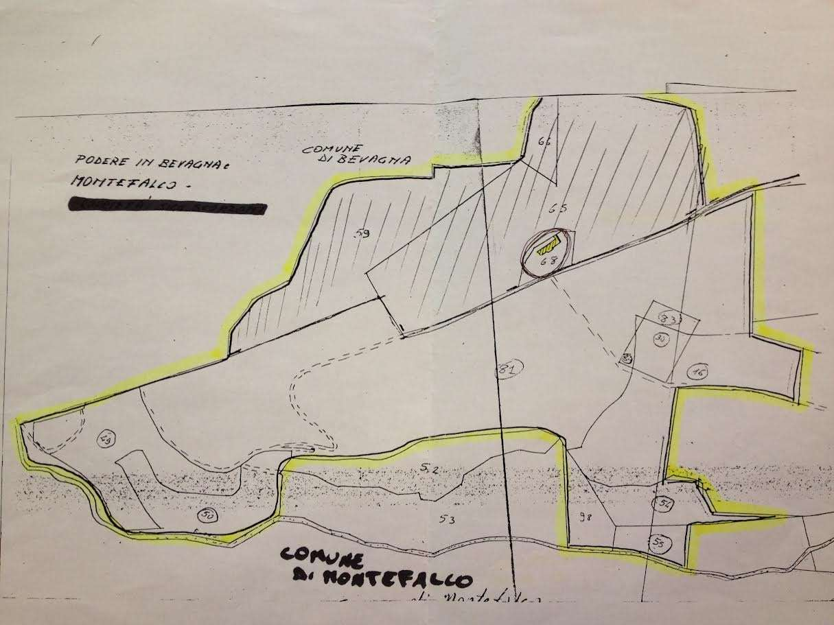 immagine annuncio 2 di 8