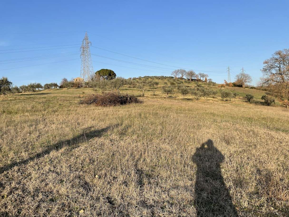 immagine annuncio 4 di 8