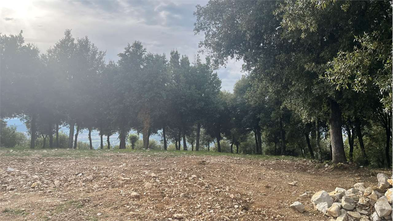 immagine annuncio 4 di 7