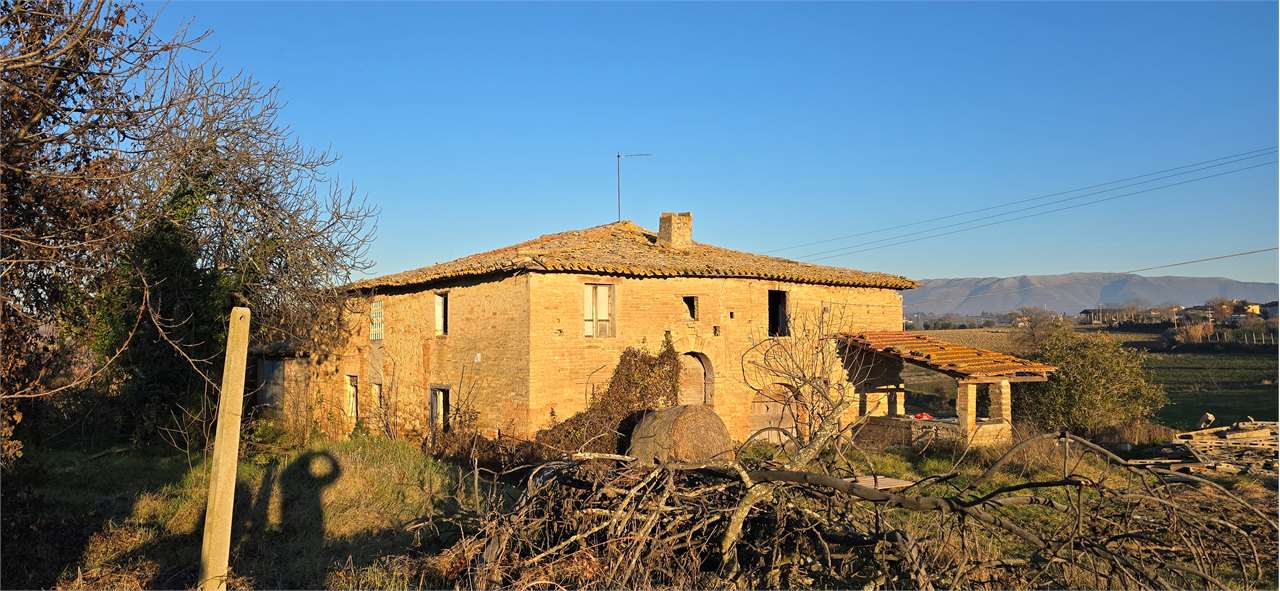 immagine annuncio 2 di 6